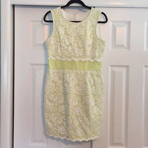 NEW ABS lace overlay dress